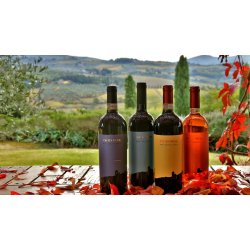 Ca' di Pesa - IGT Rosato Tramonto 2023