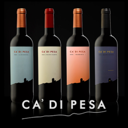 Ca' di Pesa - IGT Rosato Tramonto 2023