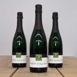 Weingut G�tz - Weisser Burgunder - 2023