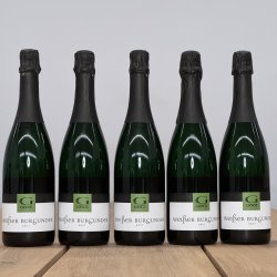 Weingut G�tz - Weisser Burgunder - 2023