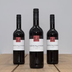 Weingut G�tz - Sp�tburgunder Halbtrocken - 2020