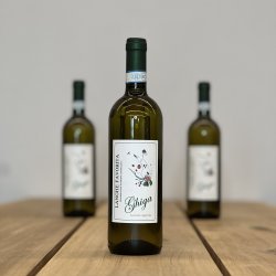 Ghiga - Langhe Favorita DOC � 2023