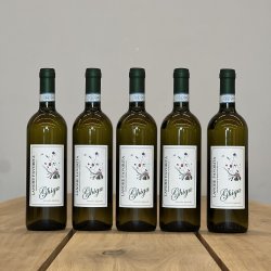 Ghiga - Langhe Favorita DOC � 2023