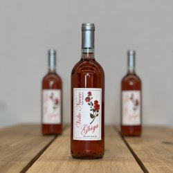 Ghiga - Volto Nuovo � 2023