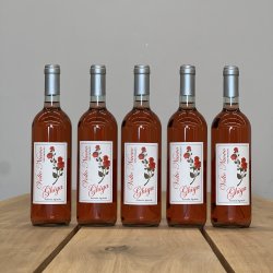 Ghiga - Volto Nuovo � 2023