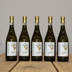 Ghiga - Moscato d Asti � 2024